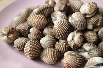 cockles seafood, pile of fresh blood cockles, texture.