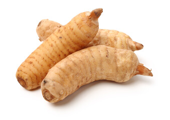  Fresh Gastrodia elata blume on white background