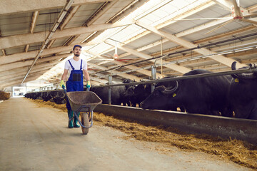 Full length of a young farmer with a wheelbarrow in his hands in a cowshed on a dairy farm.