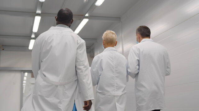 Back View Of Doctors In White Coat Discussing Walking In Hospital Corridor