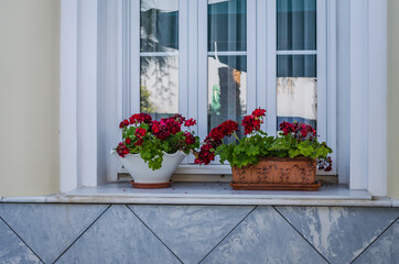Flower pots on the window of the house 