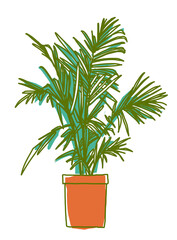 Fototapeta premium Houseplants in pots. Color graphic illustration.