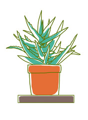 Houseplants in pots. Color graphic illustration.