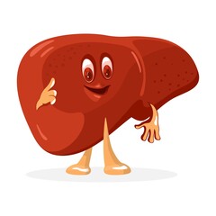 Smiling body internal organ with friendly emotion. Vector cute and healthy liver character with hands and legs. Anatomy and medicine design isolated on white background