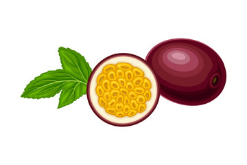 Halved Purple Passion Fruit with Thick Pith and Numerous Seeds Rested with Green Leaf Vector Illustration