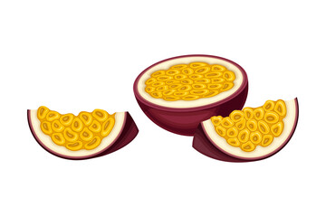 Passion Fruit Cross Section with Juicy Flesh Containing Numerous Seeds Vector Illustration