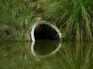 Drain in canal covered with grass and papyrus