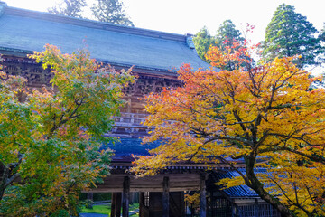 永平寺 紅葉が映える中雀門