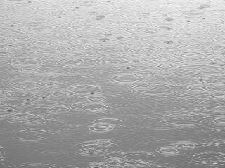rain drops falling on the water surface