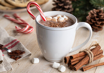 Cup of Hot Chocolate With Candy Cane