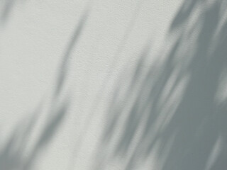 abstract shadow of leaves on white wall background
