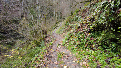 Les Gorges du Chauderon, Montreux, Switzerland. 