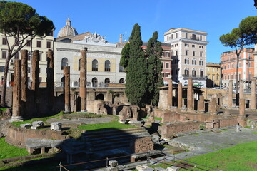 Naklejka premium roma