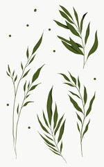 Vector hand drawn set of various silhouette branches with green leaves in flat style isolated on the white background.