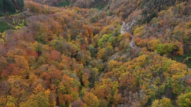Gorges de la canches dans le Morvan