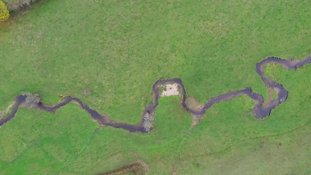 Ruisseau dans un champ dans le morvan