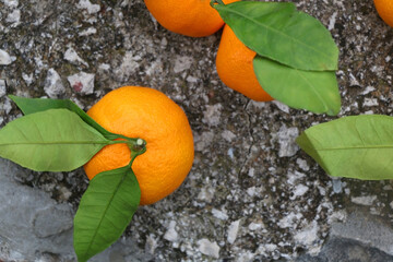 Fresh picked tangerines in theh garden. Top view.