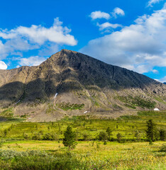 valley and mountains in the subpolar urals on a summer day