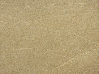 Fototapeta premium wet sand on the beach after low tide, texture background
