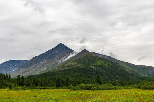 mountain peak over the forest on a rainy summer day