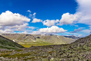 Fototapeta premium mountain range in the subpolar urals on a summer day