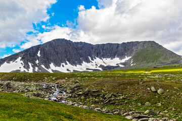 Fototapeta na wymiar mountain range in the subpolar urals on a summer day