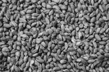 The peanut kernels are dried in the sun to reduce moisture before being cooked.