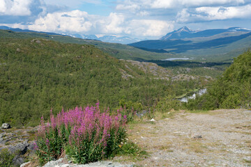 View from Skibotndalen, Skibotn, Troms, Norway
