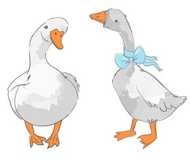 Hand drawn cute two gooses isolated on white background vector illustration