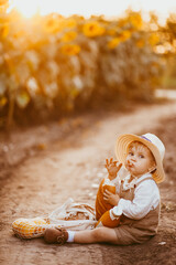 a boy in a field of sunflowers eats wheat bread
