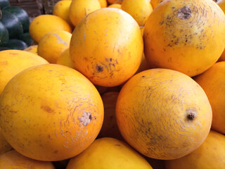 fresh melon harvest in november