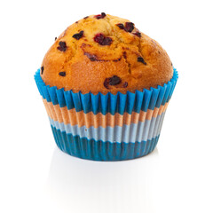 Cranberry muffin/cupcake in a color striped mould. Studio photo isolated on white.