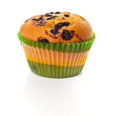 Blueberry muffin/cupcake in a color striped mould. Studio photo isolated on white.