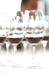 tasting red wine in tuscany and Piedmont in Italy