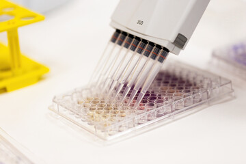 Fototapeta na wymiar Multichannel pipette applying colorful liquid into test tubes inside laboratory. Concept of scientific research in biological, pharmaceutical or chemical facility.