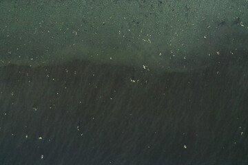dirty water in modern lakes, ecology is dying