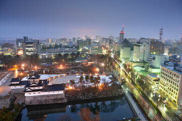 Toyama, Japan Downtown City Skyline