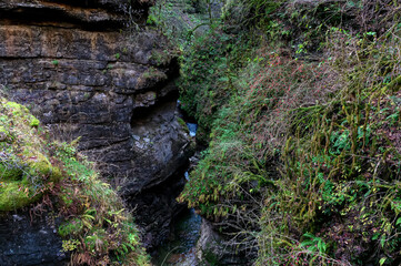 Autumn landscape with mountain stream flowing between mossy stones in deep gorge