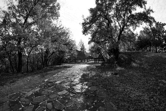 Black and white photo taken in the park near State Art Gallery "Boris Denev" in Veliko Tarnovo