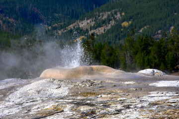 Lion Geyser at Yellowstone National Park