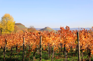 Fototapeta premium Vineyards in Autumn, View from the Wartberg, Heilbronn, Baden-Württemberg, Germany, Europe