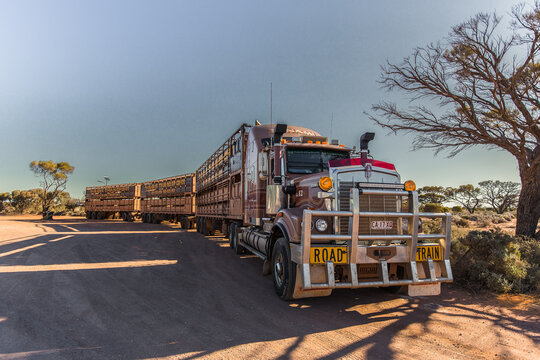 Australian roadtrain on the Stuart highway