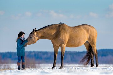Young girl caress a Trakehner gold horse outdoors on a hill. Child with a big mare standing together on snow in winter background