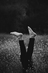 black and white legs in the forest 
