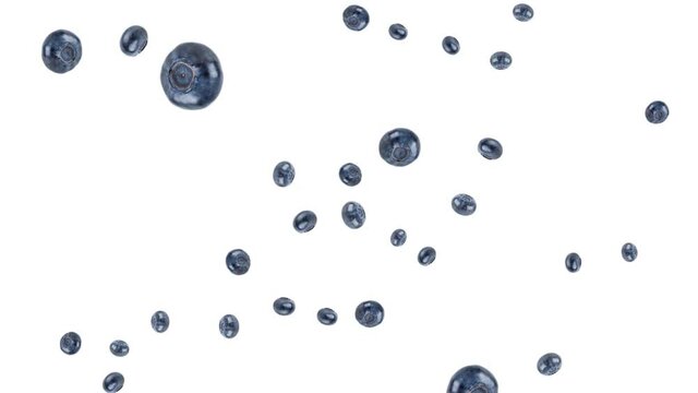 Many blueberries exploding and free falling on white background. Selective focus - shallow depth of field. Digital animation, loop.