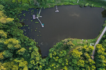 lake forest beer autumn greens