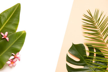 Tropical background with palm monstera leaves on vibrant background.