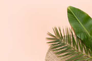 Tropical background with palm monstera leaves on pink.