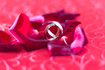 Wedding rings on red rose petals
