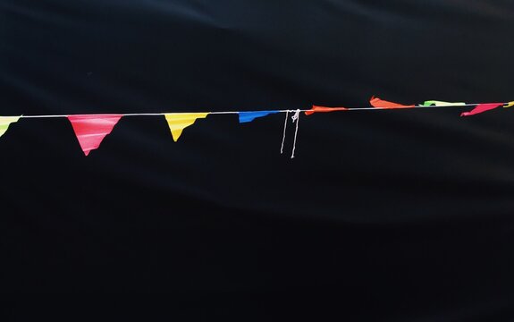Close-up Of Buntings Against Black Fabric